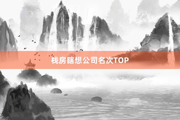 栈房瞎想公司名次TOP