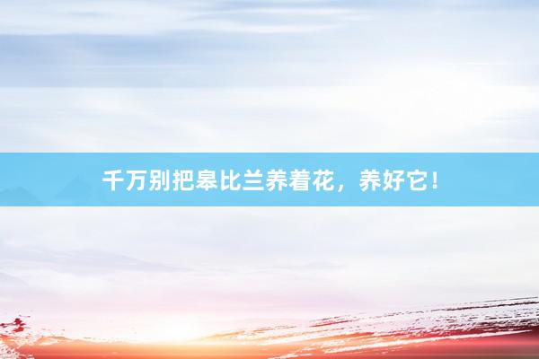 千万别把皋比兰养着花，养好它！